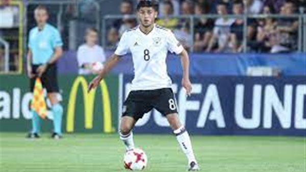 محمود داوود