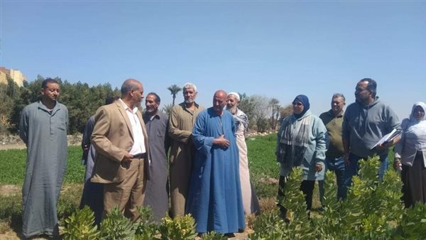 الأنشطة الإرشادية