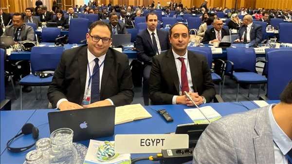 جانب من المشاركة