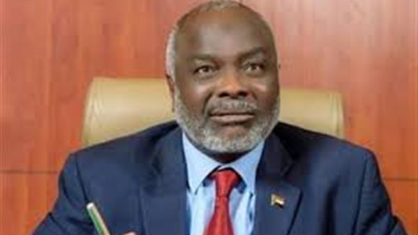 وزير المالية السوداني