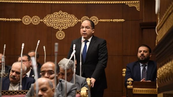  النائب عادل اللمعي