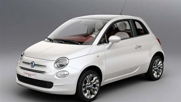 صورة من الحدث 