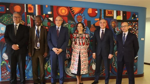 وزير الرى يلتقى مدير