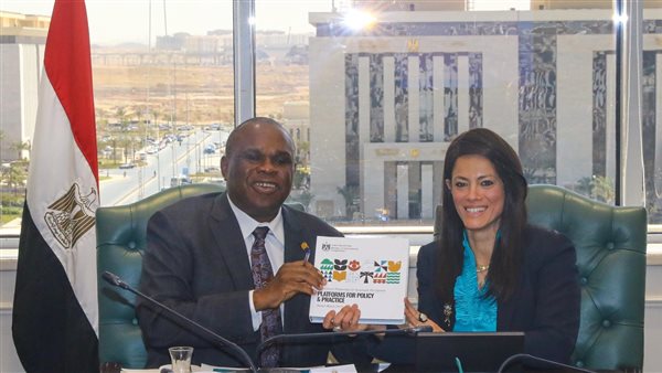  الدكتورة رانيا المشاط