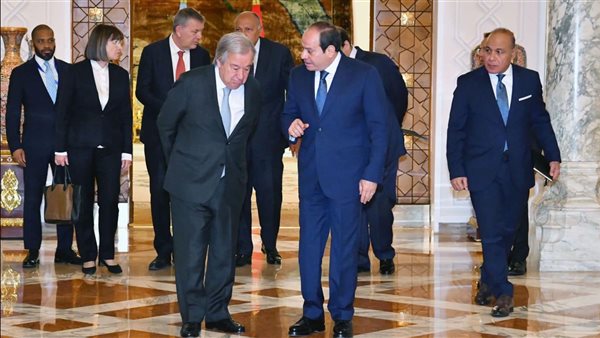 لقاء الرئيس السيسي