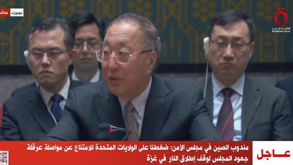 مندوب الصين 