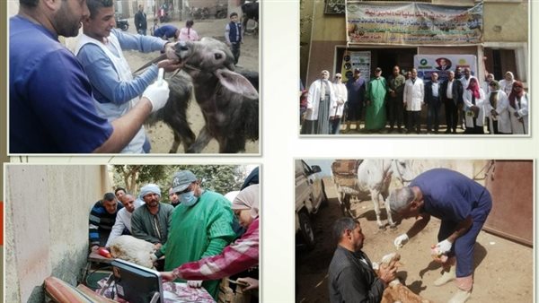 قافلة طبية علاجية