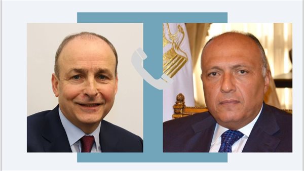 وزير الخارجية وميهول