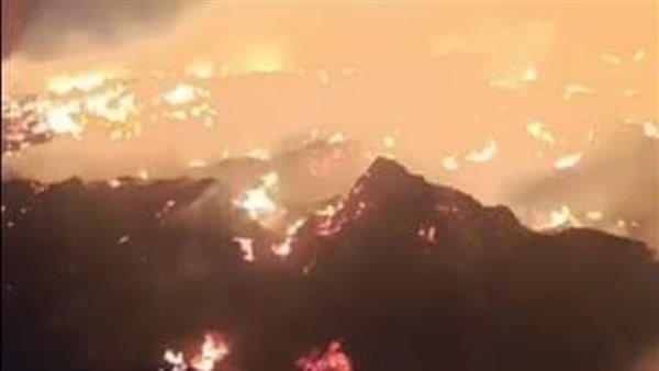 النيران تلتهم مزرعة