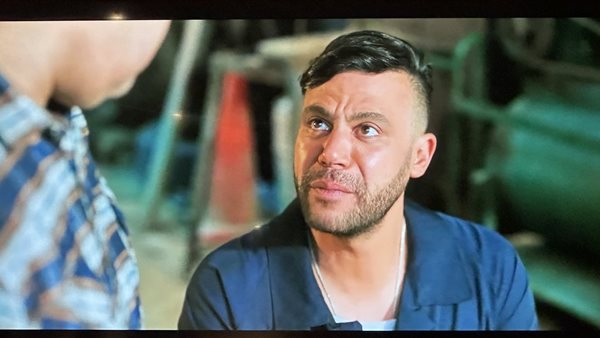 مسلسل كوبرا 