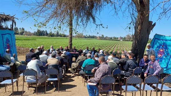 الفرق الإرشادية الريفية