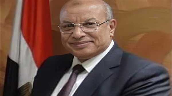 المهندس مصطفى الشيمى