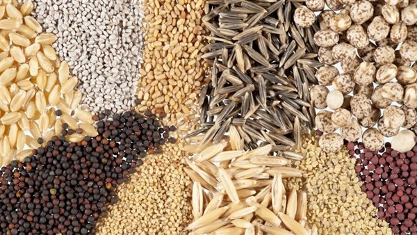 صورة أرشيفية لشحنات