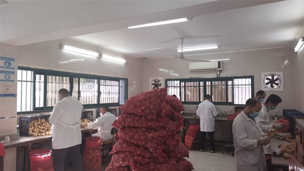  بطاطس المائدة المعدة