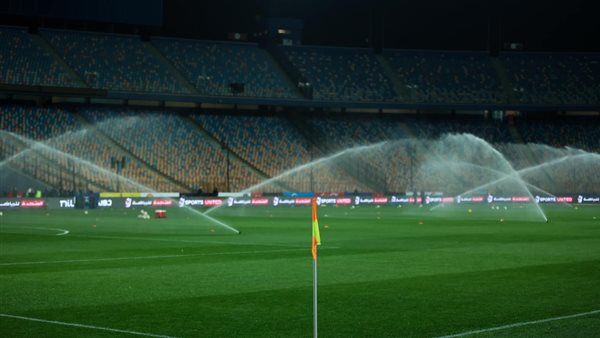 استاد القاهرة