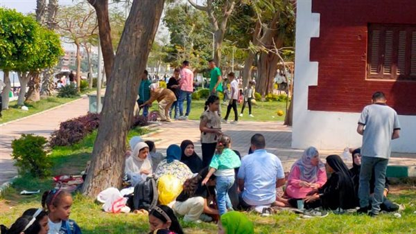 صورة من الحدث 