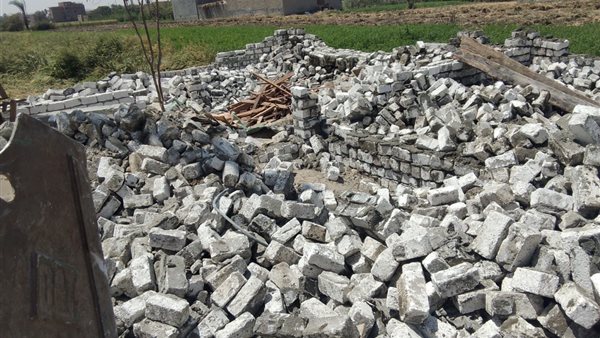 صورة من الحدث 