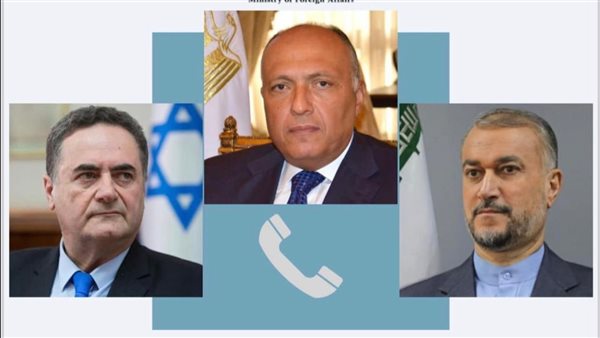 وزير الخارجية المصري