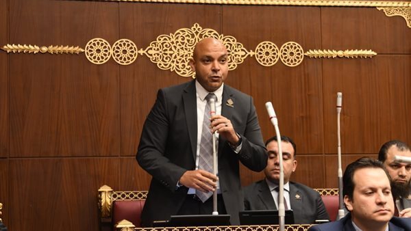  النائب طيار محمود