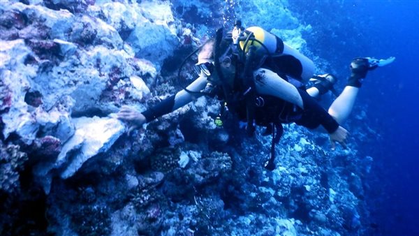 أعمال المعاينات البيئية