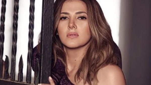 الفنانه دنيا سمير