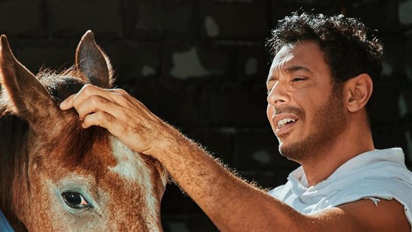 مصطفى شعبان 