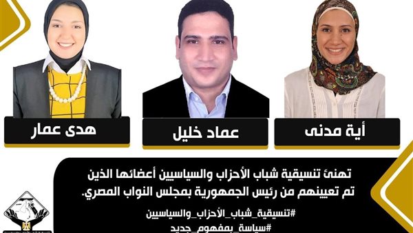 شباب الأحزاب والسياسيين