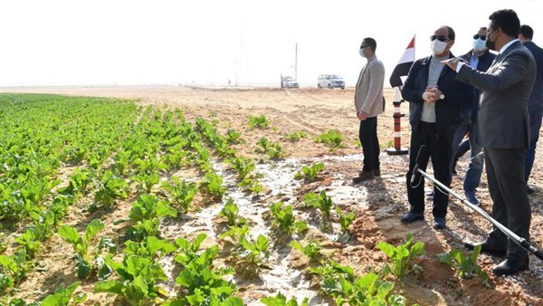 تفقد الرئيس للمشروع