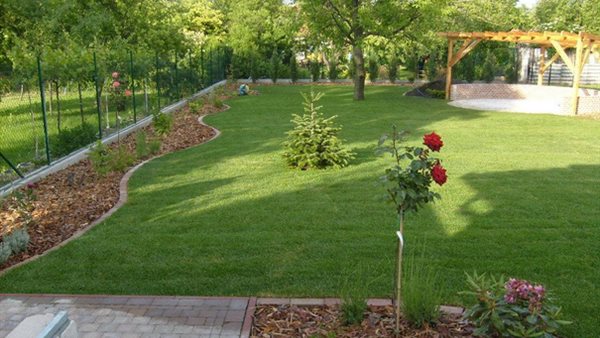 المساحات الخضراء