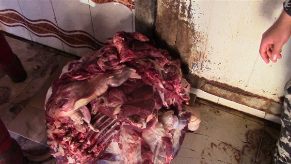 جانب من المضبوطات