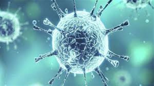 كورونا في العالم