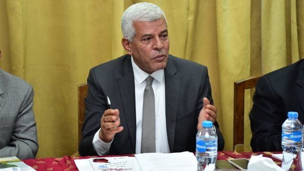 الدكتور سيد خليفة