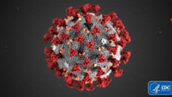 كورونا في العالم