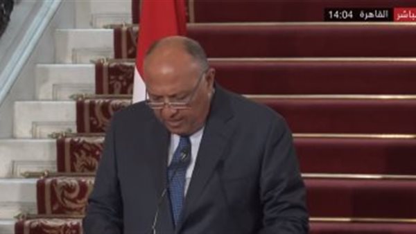 وزير الخارجية سامح