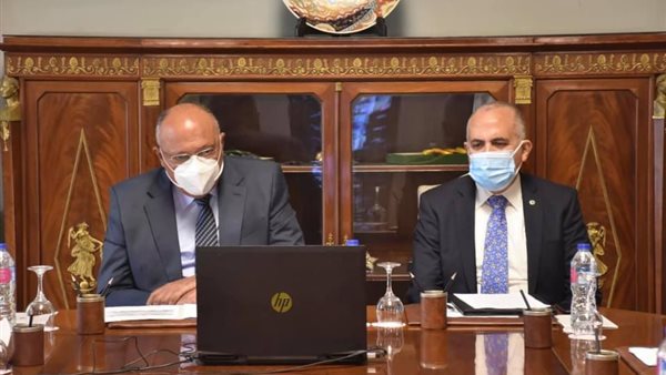 وزيرا الخارجية والري