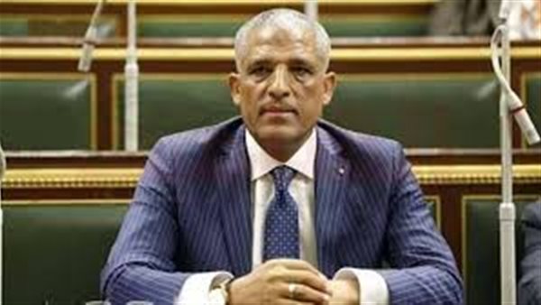 النائب محمد الحسينى