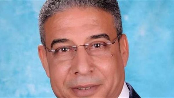 النائب  بهاء الدين