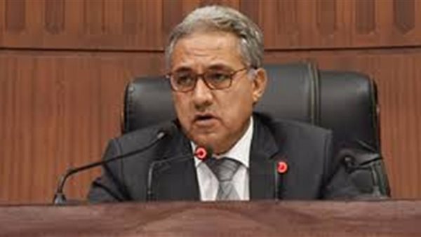 النائب أحمد السجينى