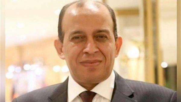 المستشار محمد عبد