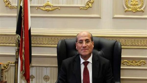 رئيس مجلس القضاء