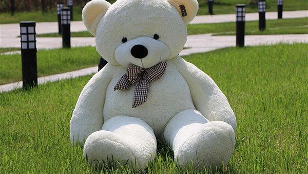  دمى دببة - ارشيفية