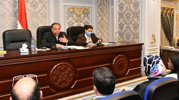 جنه الشئون الإفريقية