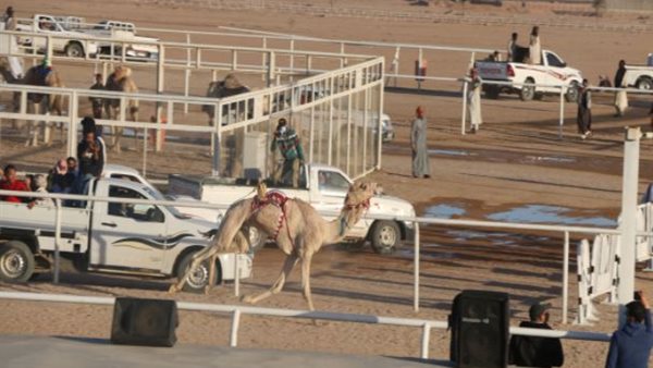 جانب من الحدث