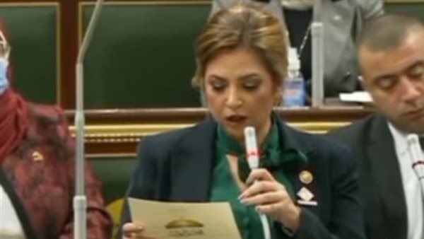 النائبه أميرة العادلى