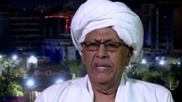  الفريق حنفي عبدالله