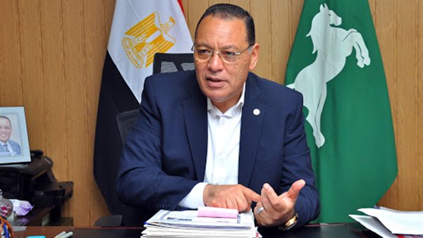 محافظ الشرقية 