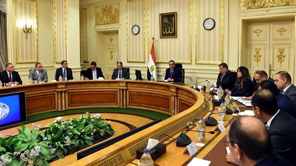 الحكومة المصرية-