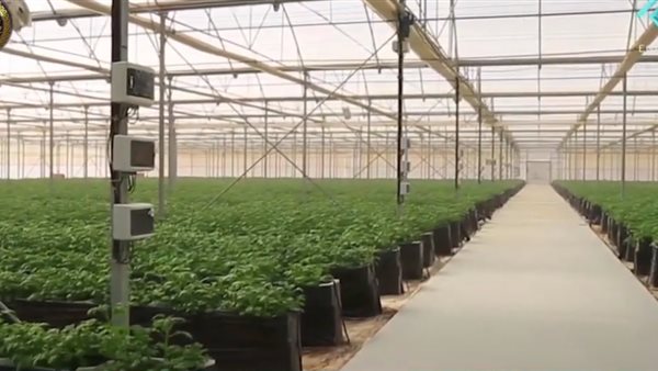 الصوب الزراعية