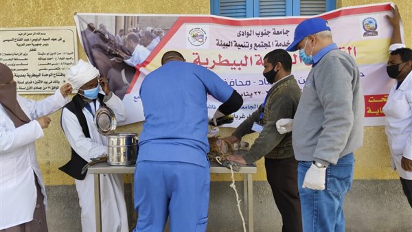 قافلة جنوب الوادى