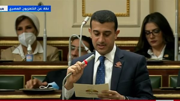 النائب طارق الخولى